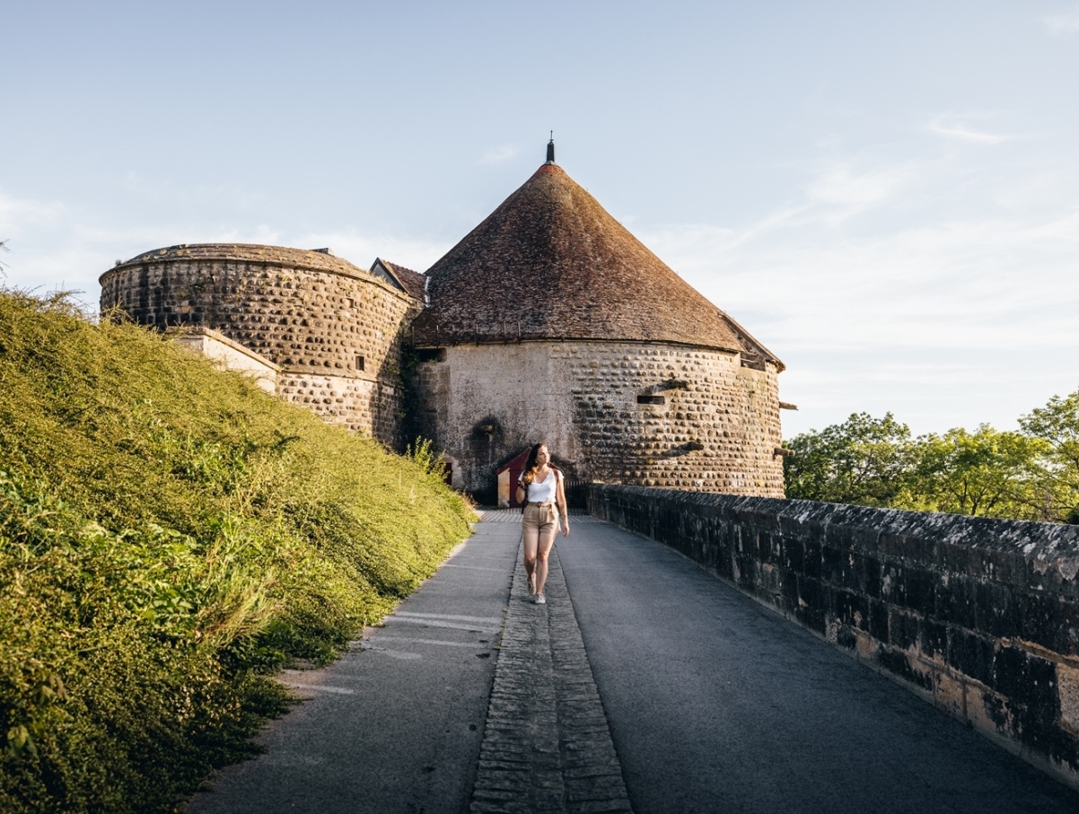 Papillon-Langres Remparts