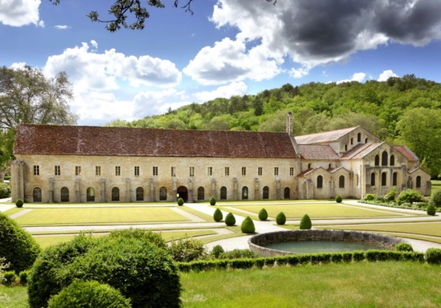 Papillon-Abbaye Fontenay